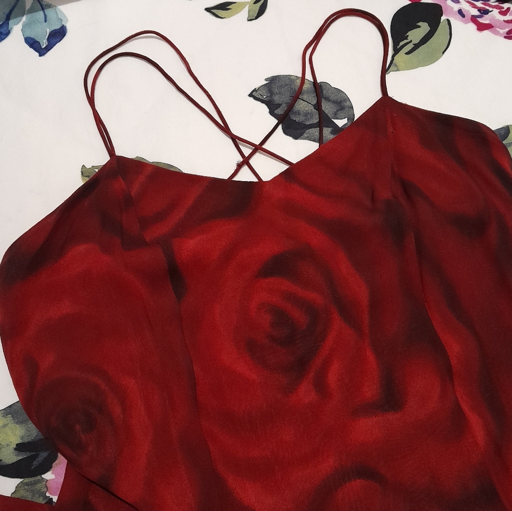 Dress In Scarlet Red Size 10